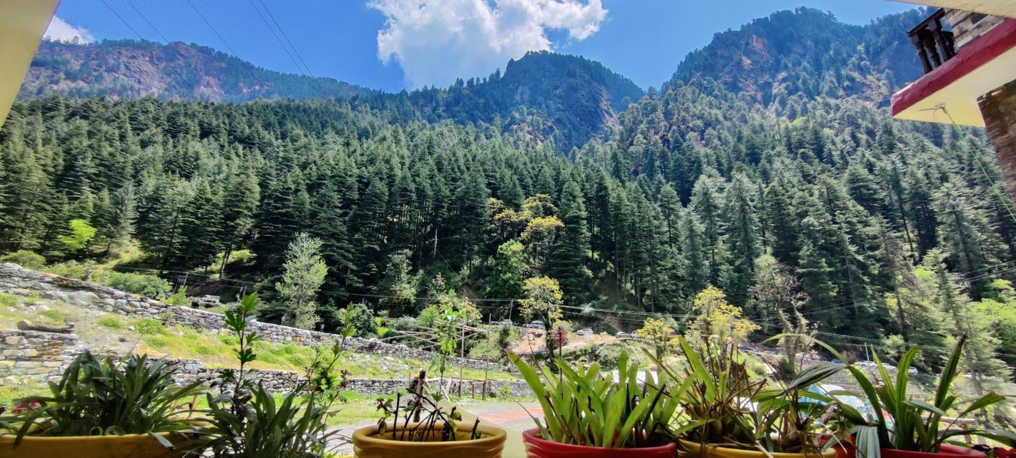 Flipsyde Retreat Ξενοδοχείο Kasol Εξωτερικό φωτογραφία