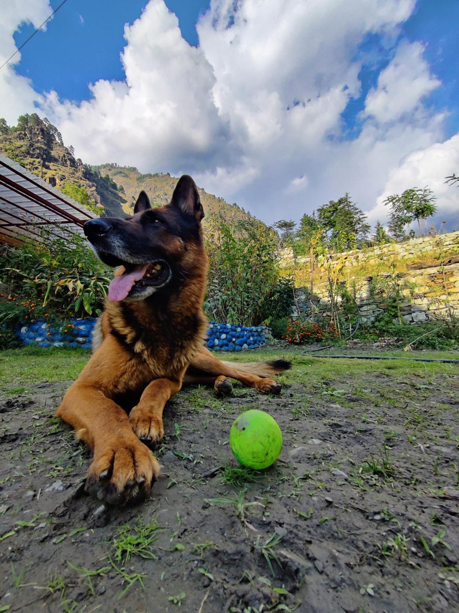 Flipsyde Retreat Ξενοδοχείο Kasol Εξωτερικό φωτογραφία