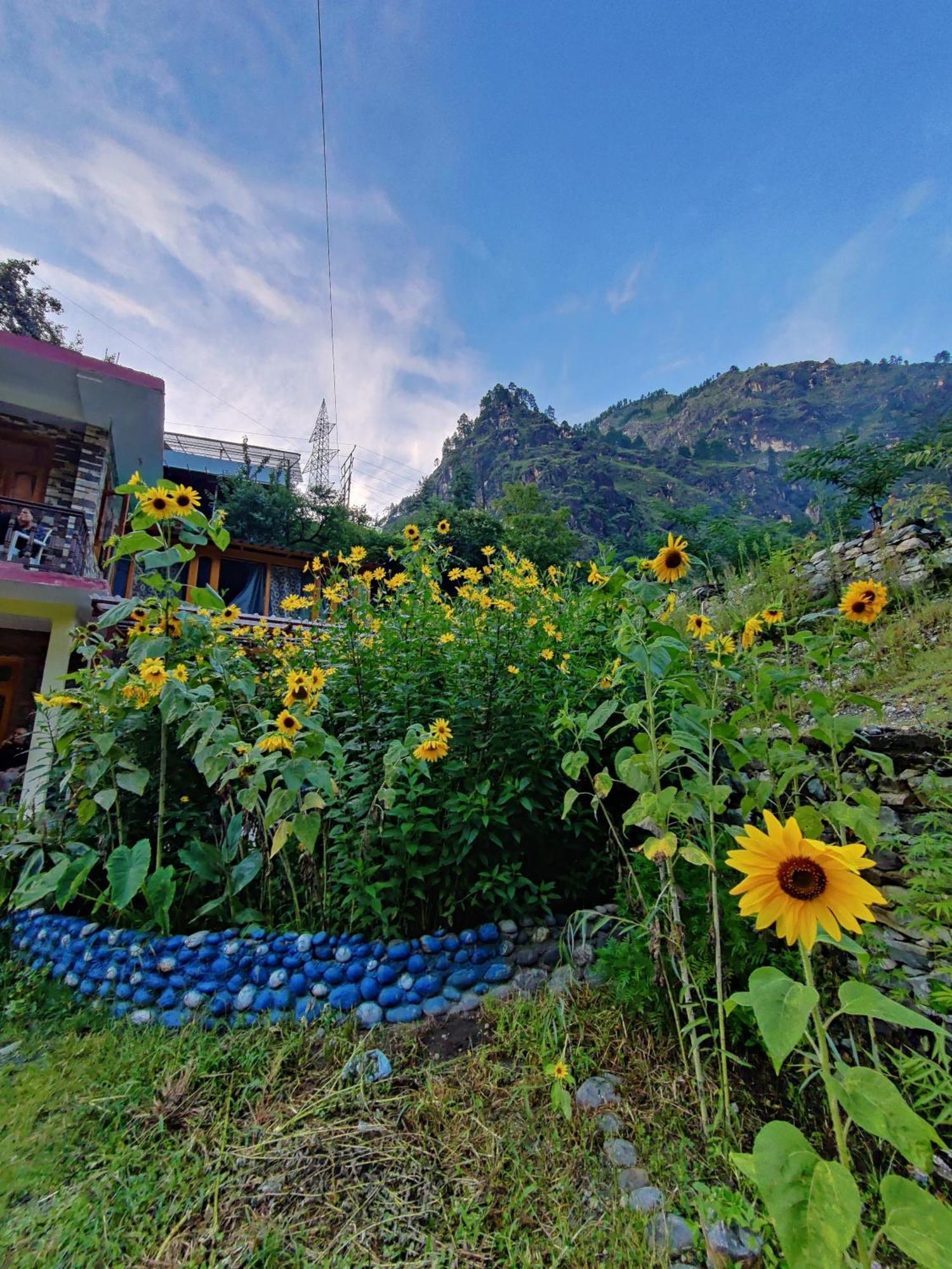 Flipsyde Retreat Ξενοδοχείο Kasol Εξωτερικό φωτογραφία