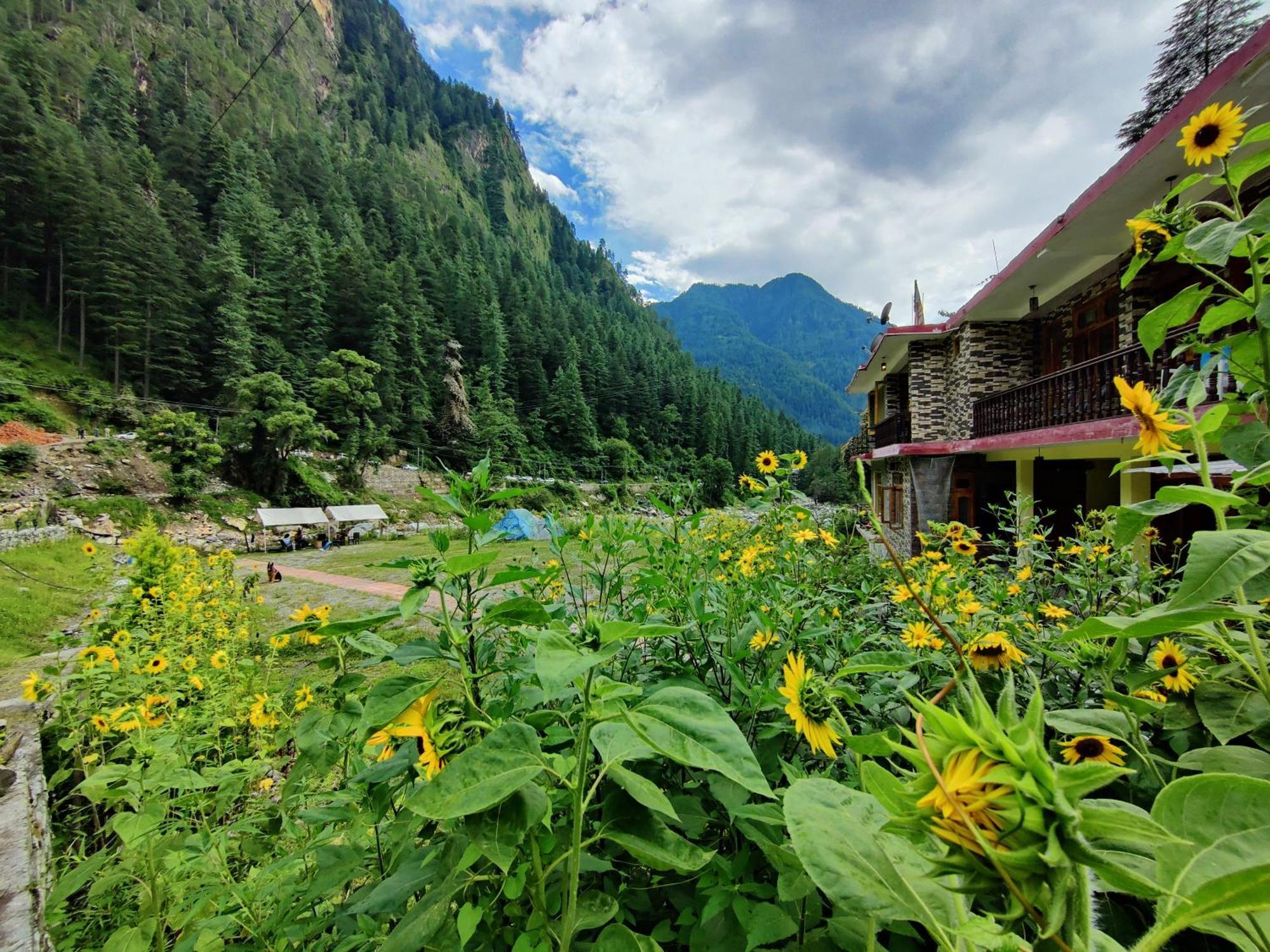 Flipsyde Retreat Ξενοδοχείο Kasol Εξωτερικό φωτογραφία