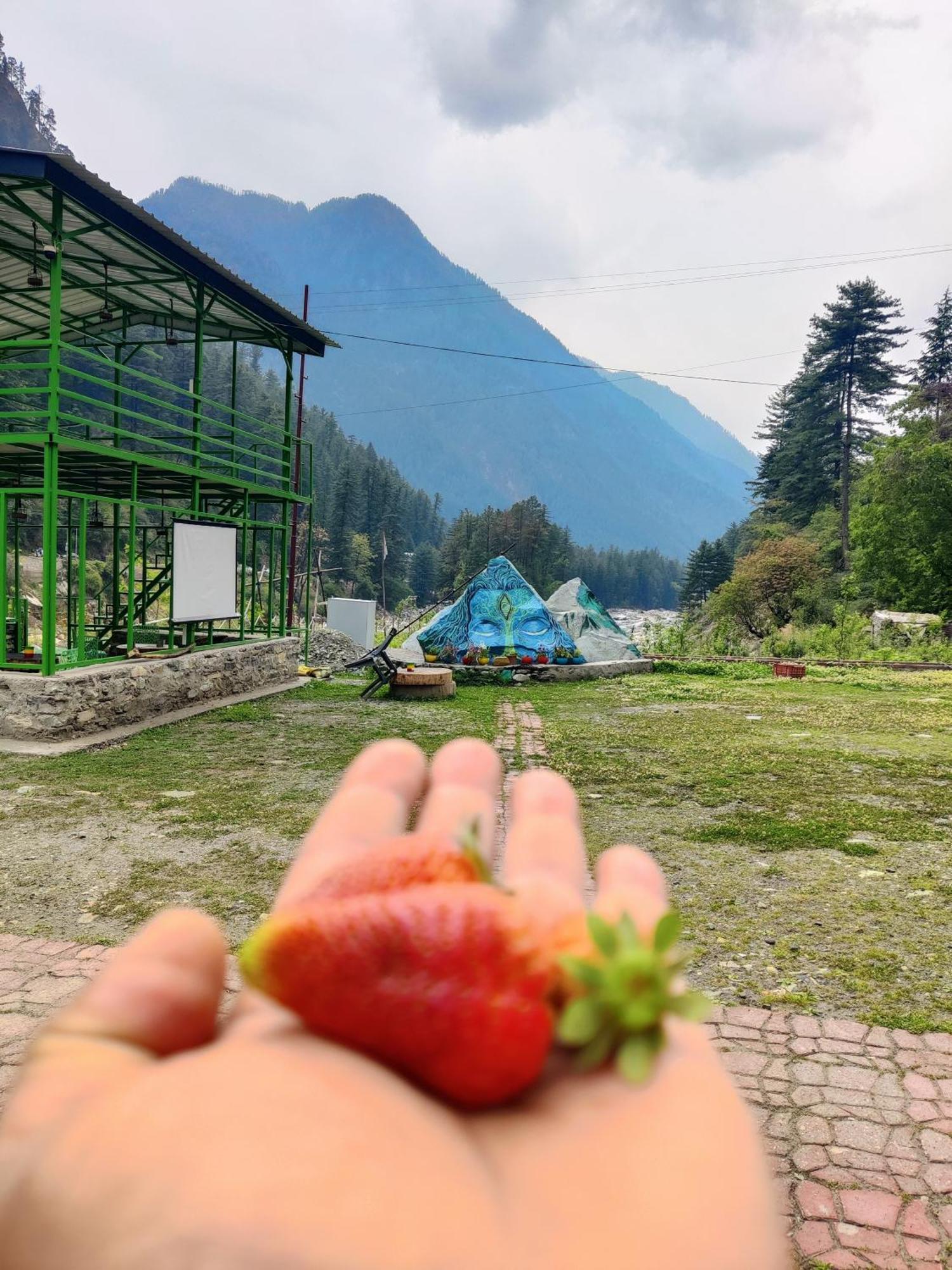 Flipsyde Retreat Ξενοδοχείο Kasol Εξωτερικό φωτογραφία