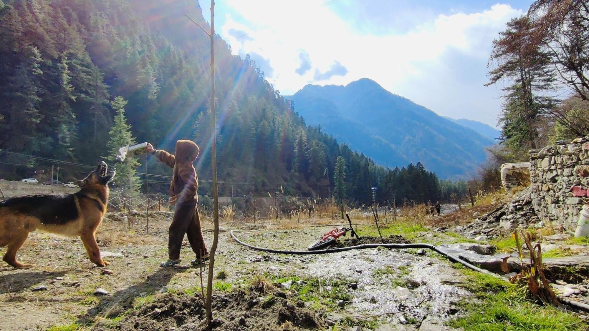 Flipsyde Retreat Ξενοδοχείο Kasol Εξωτερικό φωτογραφία
