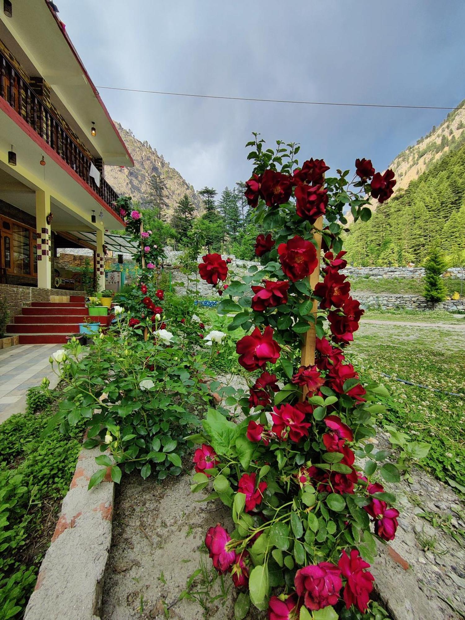 Flipsyde Retreat Ξενοδοχείο Kasol Εξωτερικό φωτογραφία