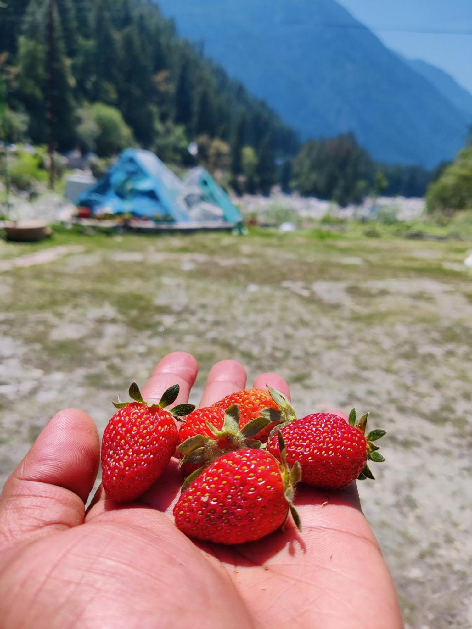 Flipsyde Retreat Ξενοδοχείο Kasol Εξωτερικό φωτογραφία